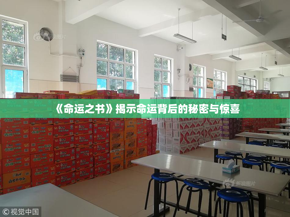 《命运之书》揭示命运背后的秘密与惊喜