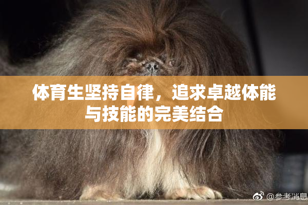 体育生坚持自律，追求卓越体能与技能的完美结合