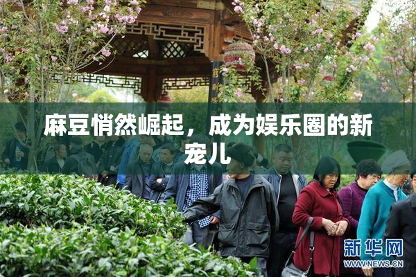 麻豆悄然崛起，成为娱乐圈的新宠儿