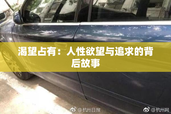 渴望占有：人性欲望与追求的背后故事