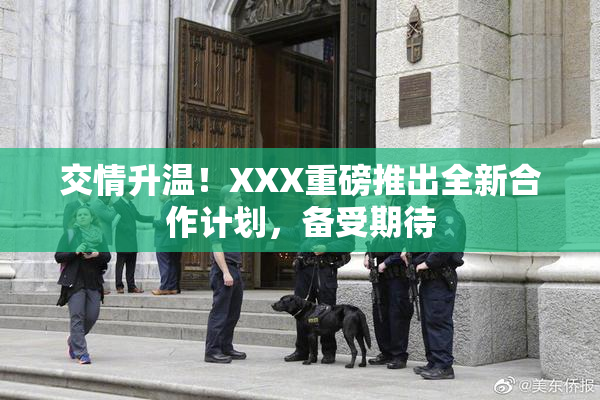交情升温！XXX重磅推出全新合作计划，备受期待
