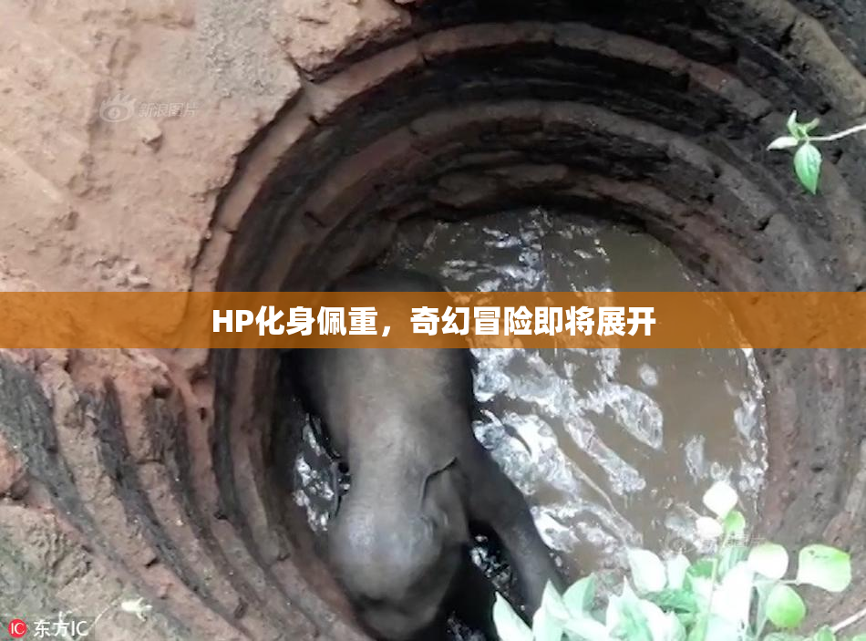HP化身佩重，奇幻冒险即将展开