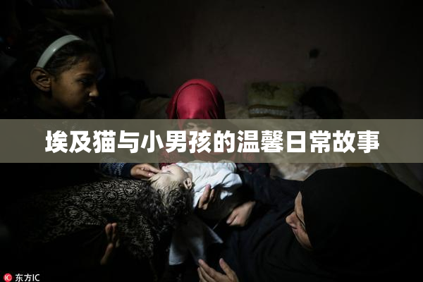 埃及猫与小男孩的温馨日常故事