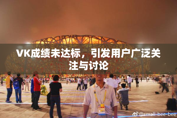 VK成绩未达标，引发用户广泛关注与讨论