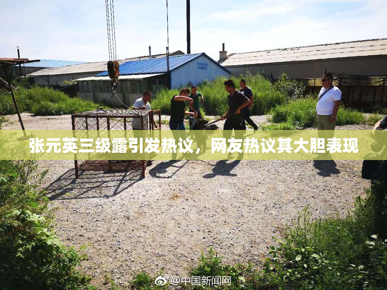 张元英三级露引发热议，网友热议其大胆表现