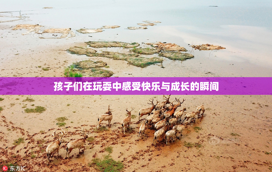 孩子们在玩耍中感受快乐与成长的瞬间