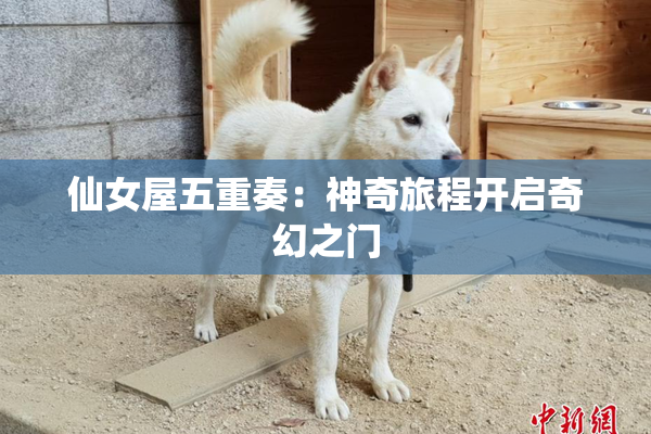仙女屋五重奏：神奇旅程开启奇幻之门