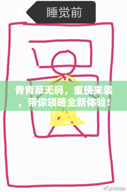 青青草无码，重磅来袭，带你领略全新体验！