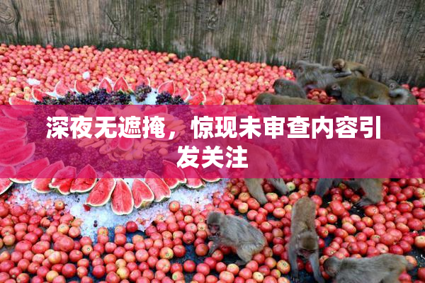 深夜无遮掩，惊现未审查内容引发关注