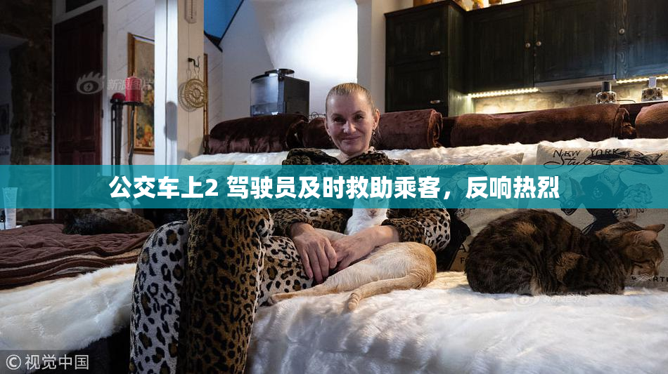 公交车上2 驾驶员及时救助乘客，反响热烈