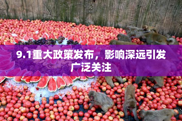 9.1重大政策发布，影响深远引发广泛关注