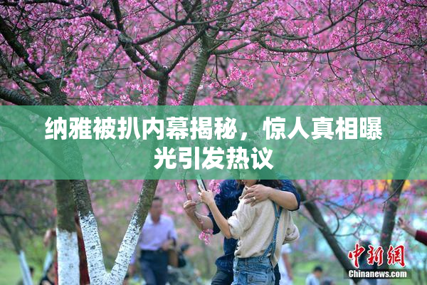 纳雅被扒内幕揭秘，惊人真相曝光引发热议