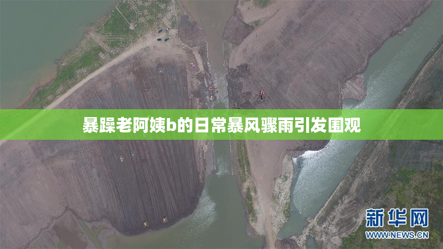 暴躁老阿姨b的日常暴风骤雨引发围观