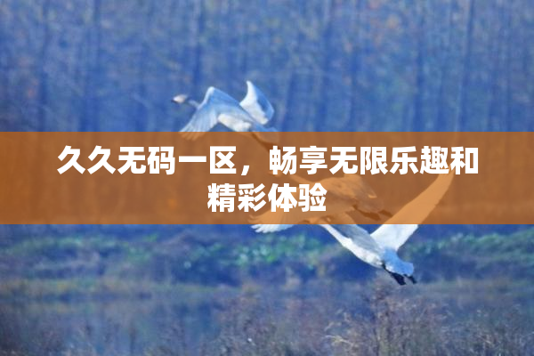 久久无码一区，畅享无限乐趣和精彩体验