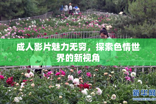 成人影片魅力无穷，探索色情世界的新视角