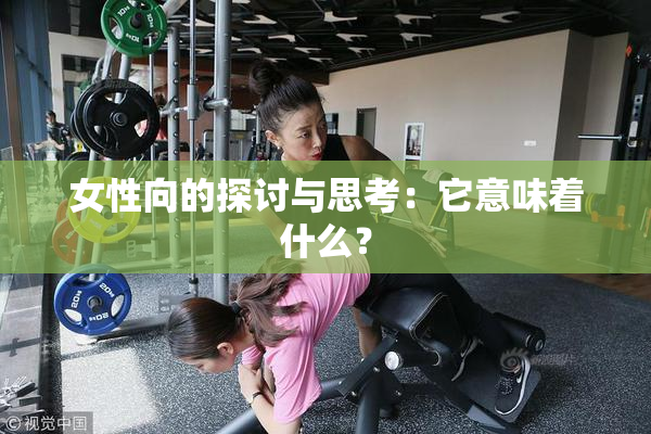 女性向的探讨与思考：它意味着什么？