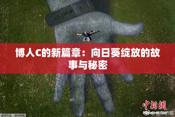 博人C的新篇章：向日葵绽放的故事与秘密