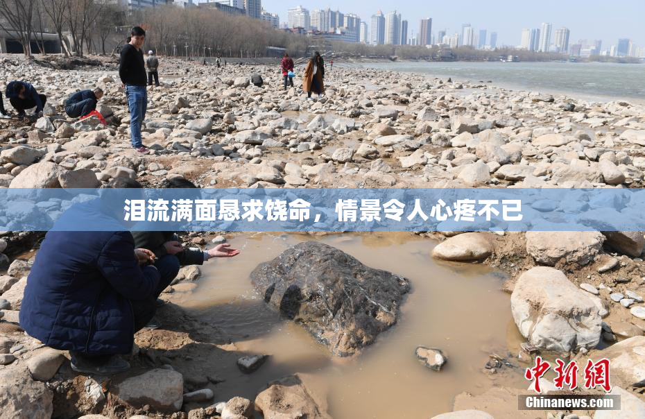 泪流满面恳求饶命，情景令人心疼不已