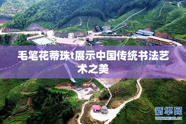 毛笔花蒂珠t展示中国传统书法艺术之美