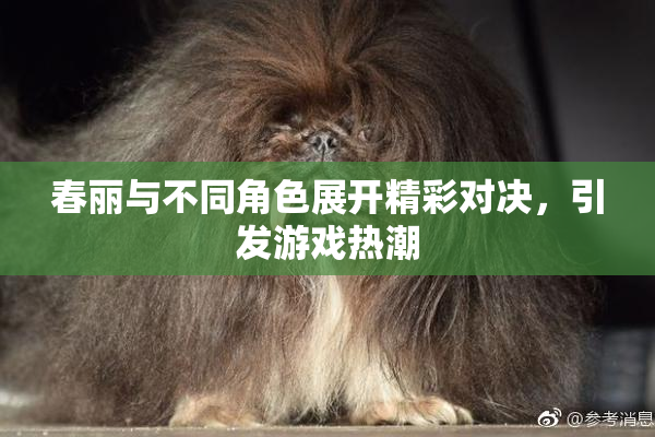 春丽与不同角色展开精彩对决，引发游戏热潮