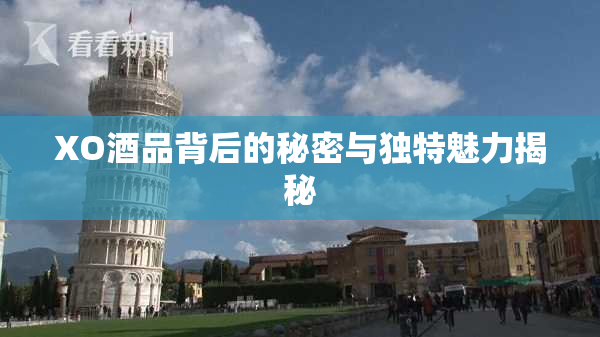 XO酒品背后的秘密与独特魅力揭秘