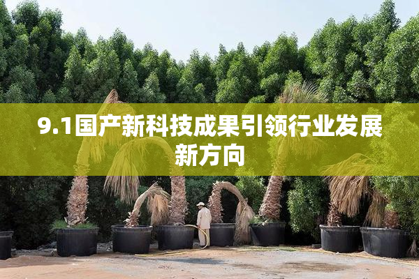 9.1国产新科技成果引领行业发展新方向