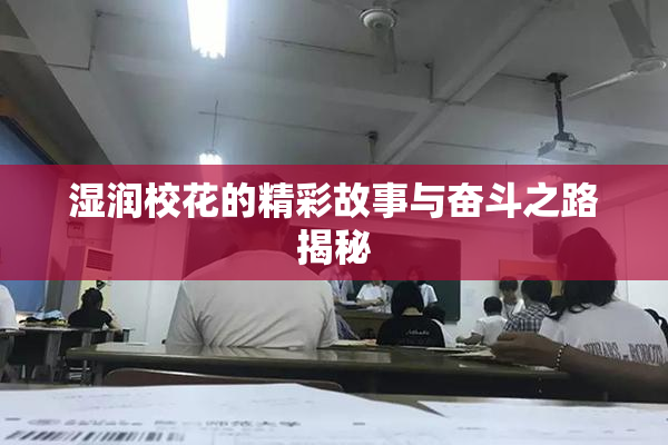 湿润校花的精彩故事与奋斗之路揭秘