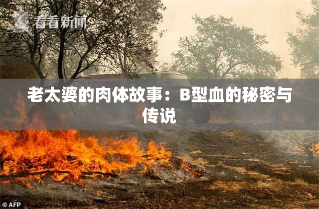 老太婆的肉体故事：B型血的秘密与传说