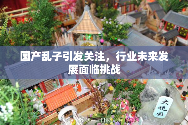 国产乱子引发关注，行业未来发展面临挑战