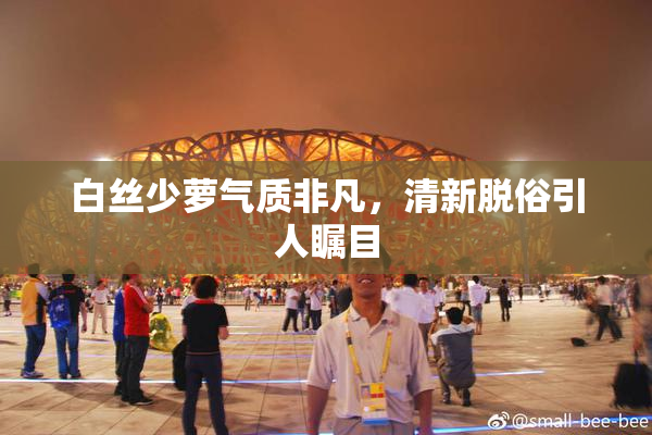 白丝少萝气质非凡，清新脱俗引人瞩目