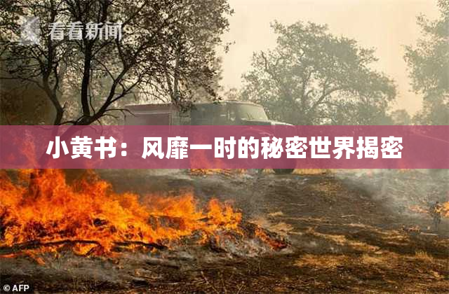 小黄书：风靡一时的秘密世界揭密