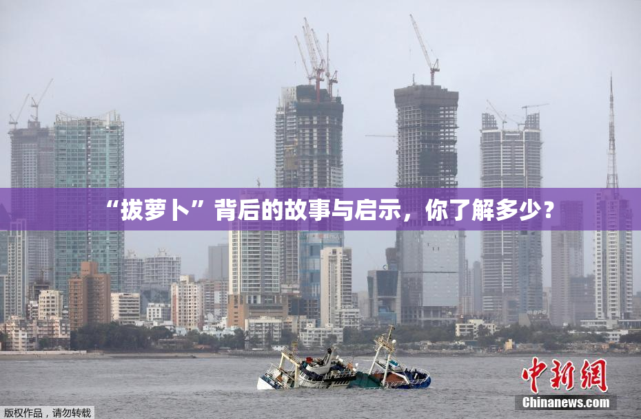 “拔萝卜”背后的故事与启示，你了解多少？