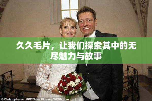 久久毛片，让我们探索其中的无尽魅力与故事