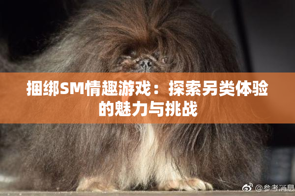 捆绑SM情趣游戏：探索另类体验的魅力与挑战