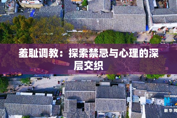 羞耻调教：探索禁忌与心理的深层交织