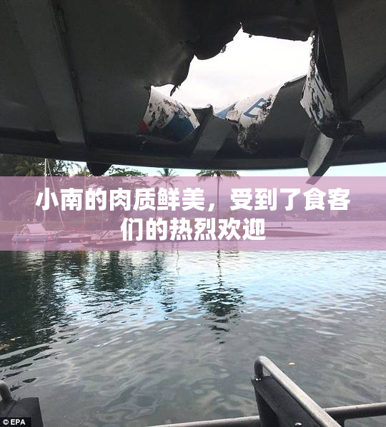 小南的肉质鲜美，受到了食客们的热烈欢迎