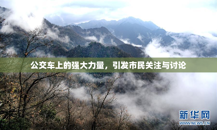 公交车上的强大力量，引发市民关注与讨论