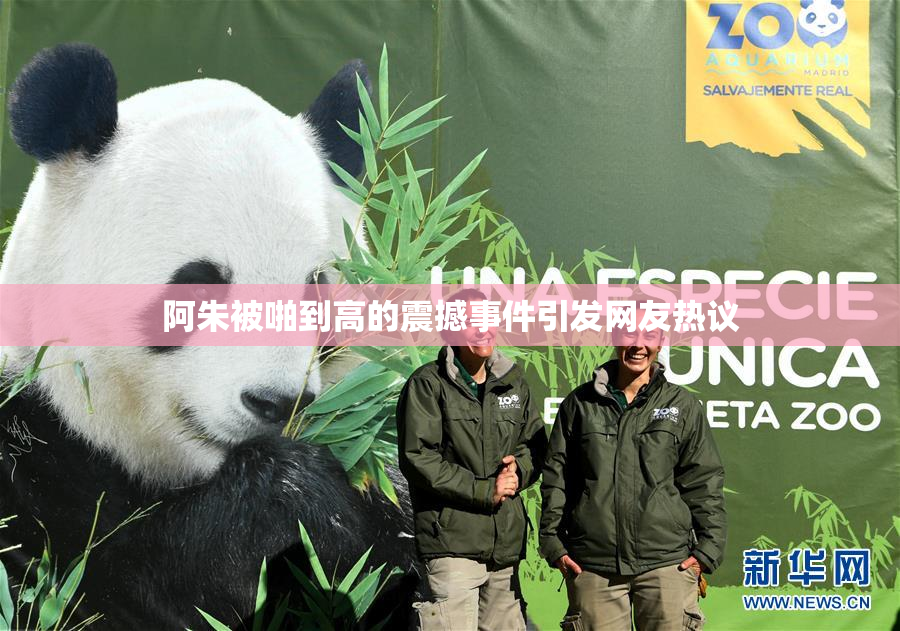 阿朱被啪到高的震撼事件引发网友热议