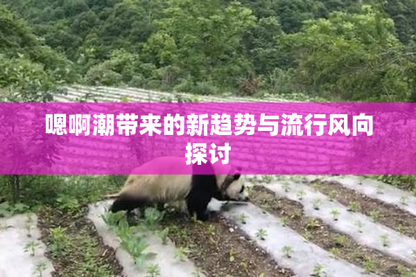 嗯啊潮带来的新趋势与流行风向探讨