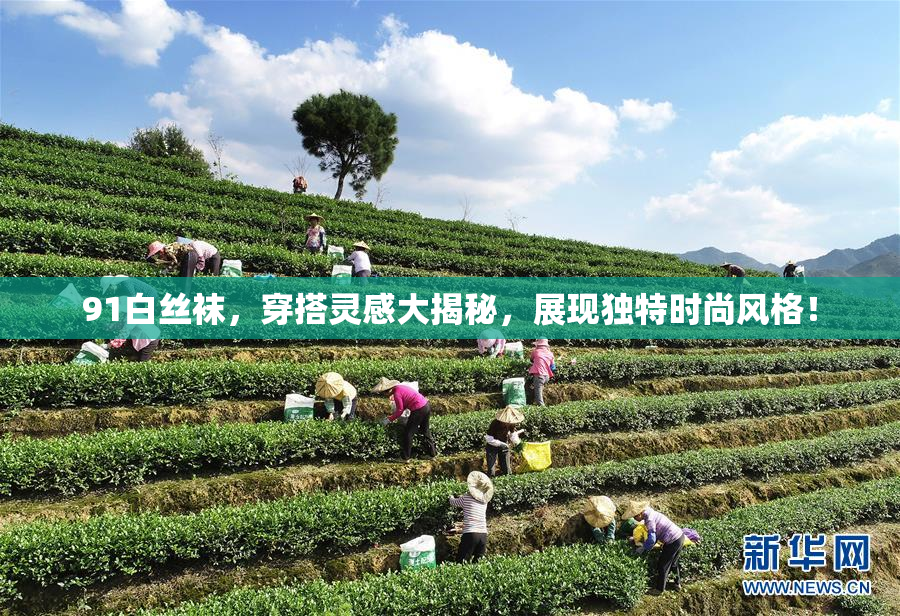 91白丝袜，穿搭灵感大揭秘，展现独特时尚风格！