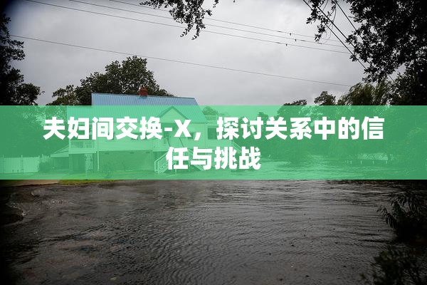 夫妇间交换-X，探讨关系中的信任与挑战