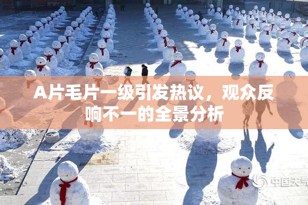 A片毛片一级引发热议，观众反响不一的全景分析