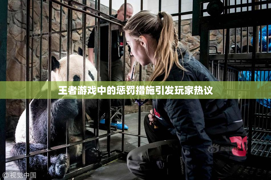 王者游戏中的惩罚措施引发玩家热议