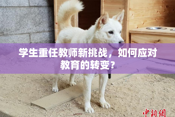 学生重任教师新挑战，如何应对教育的转变？