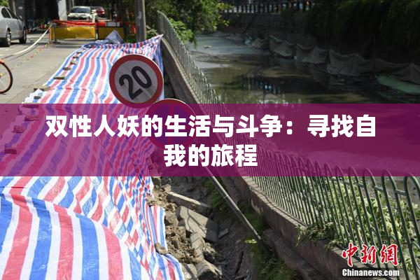 双性人妖的生活与斗争：寻找自我的旅程