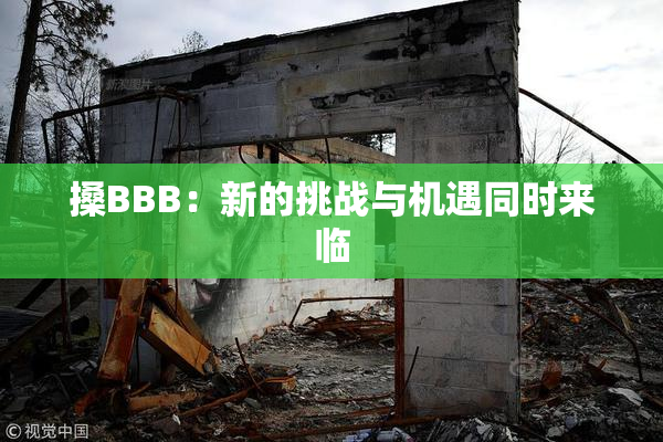 搡BBB：新的挑战与机遇同时来临