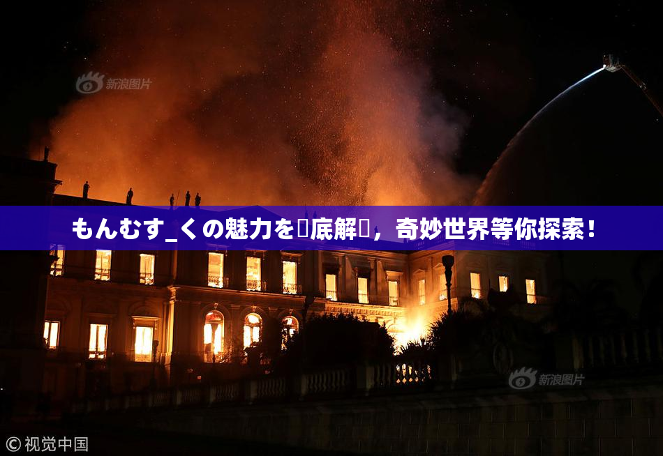 もんむす_くの魅力を徹底解説，奇妙世界等你探索！