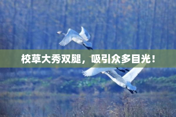 校草大秀双腿，吸引众多目光！