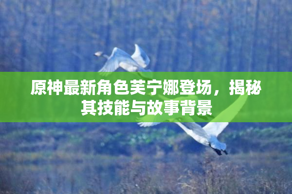 原神最新角色芙宁娜登场，揭秘其技能与故事背景