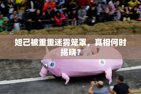 妲己被重重迷雾笼罩，真相何时揭晓？